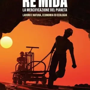 Re Mida. La mercificazione del pianeta. Lavoro e natura, economia ed ecologia Più Venduto