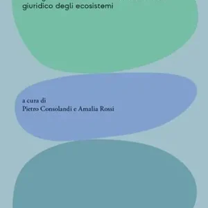 I diritti dell‘acqua. La Laguna di Venezia e il riconoscimento giuridico degli ecosistemi. Ediz. illustrata Professionale