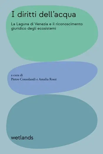 I diritti dell‘acqua. La Laguna di Venezia e il riconoscimento giuridico degli ecosistemi. Ediz. illustrata Professionale