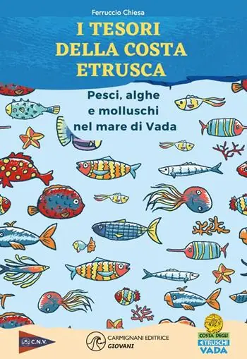 Economico I tesori della costa etrusca. Pesci, alghe e molluschi nel mare di Vada