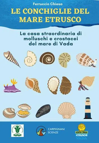 Le conchiglie del mare etrusco. La casa straordinaria di molluschi e crostacei del mare di Vada. Ediz. illustrata Scelto Dai Clienti