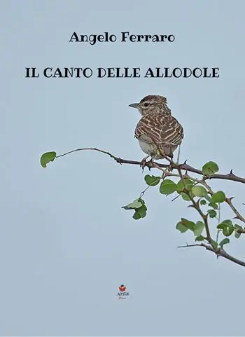 Vendita Finale Il canto delle allodole