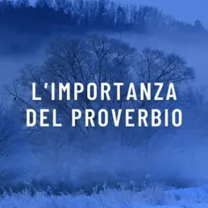 Offerta Del Giorno L‘importanza del proverbio