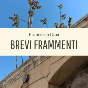 Brevi frammenti Spedito Oggi