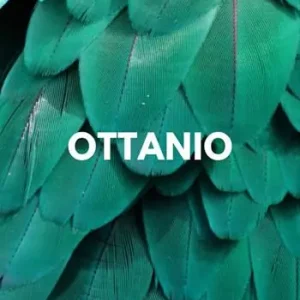 Promozione Esclusiva Ottanio