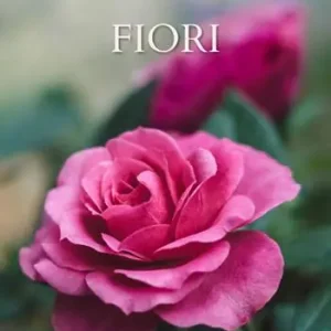 Prezzo Scontato Fiori