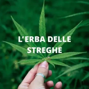 L‘erba delle streghe Esclusivo