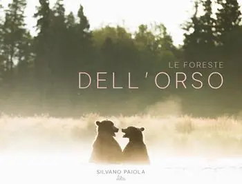 Le foreste dell‘orso Economico