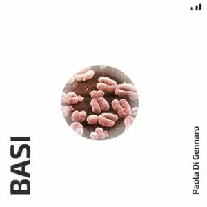 Basi Pagamento Sicuro