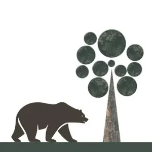Offerta Del Giorno La tempesta e l‘orso