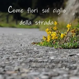 Come fiori sul ciglio della strada. Antologia di racconti e poesie Offerta