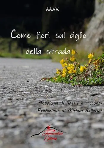 Come fiori sul ciglio della strada. Antologia di racconti e poesie Offerta