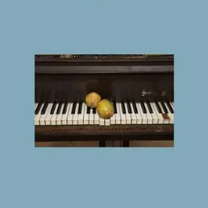 Promozione Lincon la voce